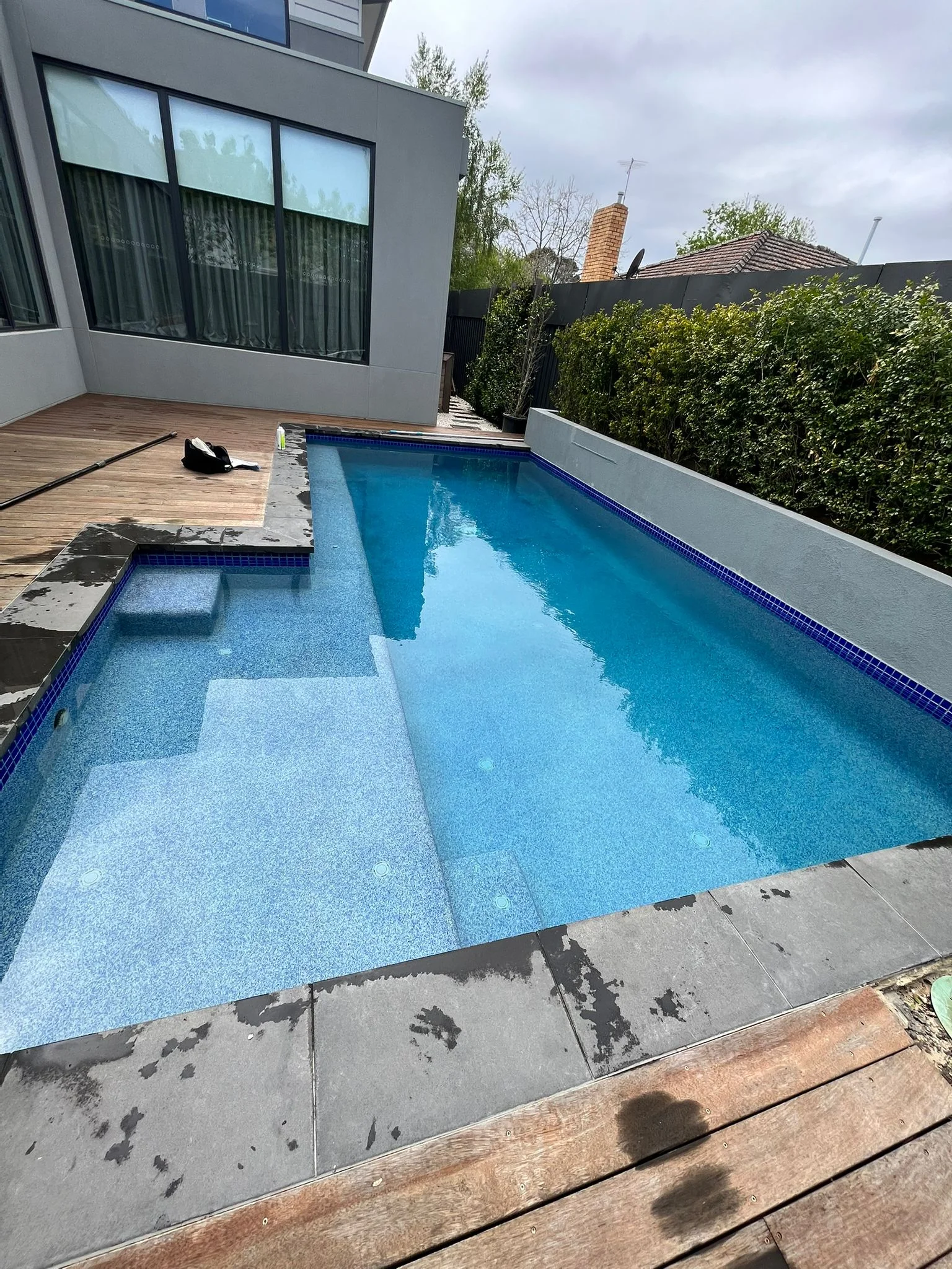 Neglected swamp pool